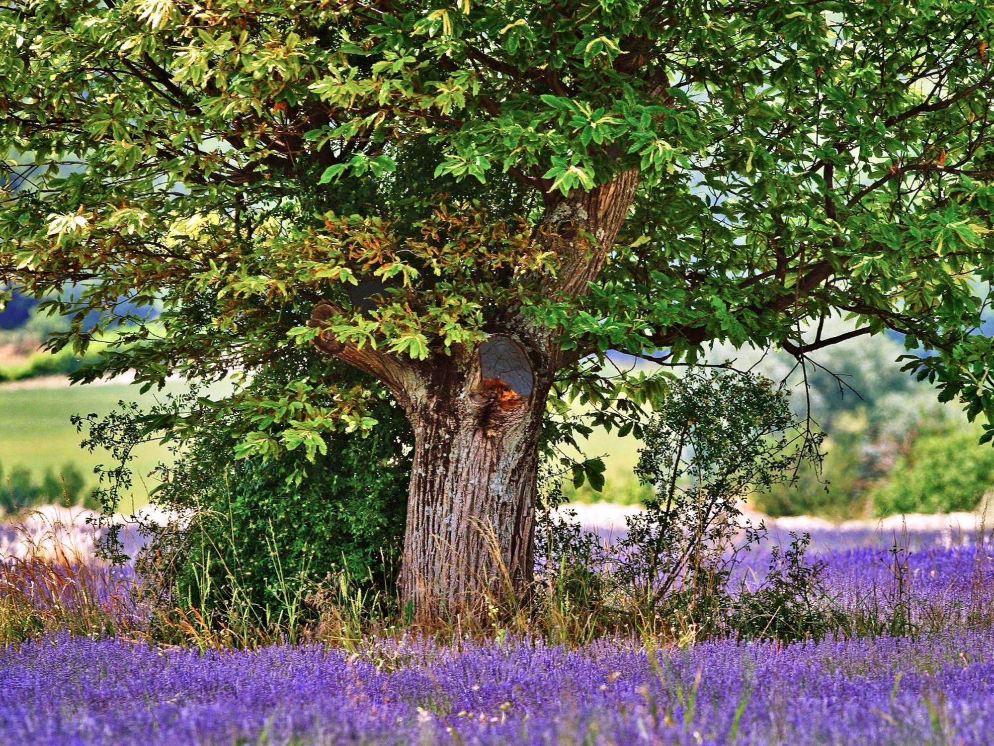 Hotelf1 Aix En Provence Sainte Victoire Мерёй Экстерьер фото